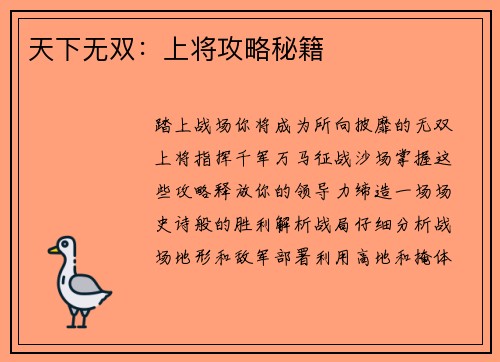 天下无双：上将攻略秘籍